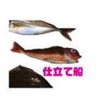 さかな釣りに行こう（個別スタンプ：8）