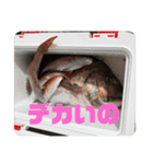 さかな釣りに行こう（個別スタンプ：10）