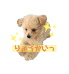 ろみおろみおろみろみ（個別スタンプ：1）