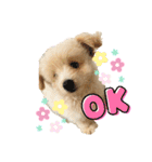 ろみおろみおろみろみ（個別スタンプ：2）