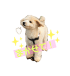 ろみおろみおろみろみ（個別スタンプ：3）