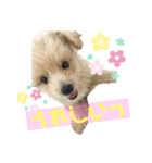 ろみおろみおろみろみ（個別スタンプ：5）