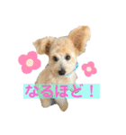 ろみおろみおろみろみ（個別スタンプ：6）