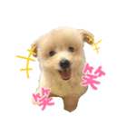 ろみおろみおろみろみ（個別スタンプ：7）