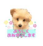 ろみおろみおろみろみ（個別スタンプ：8）