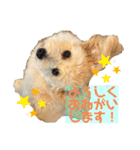 ろみおろみおろみろみ（個別スタンプ：9）