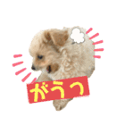 ろみおろみおろみろみ（個別スタンプ：12）