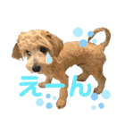 ろみおろみおろみろみ（個別スタンプ：13）