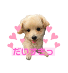 ろみおろみおろみろみ（個別スタンプ：15）