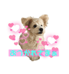 ろみおろみおろみろみ（個別スタンプ：18）