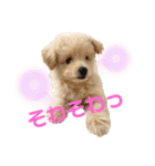 ろみおろみおろみろみ（個別スタンプ：19）