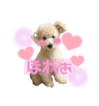 ろみおろみおろみろみ（個別スタンプ：23）