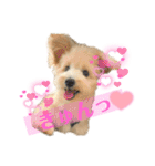 ろみおろみおろみろみ（個別スタンプ：24）