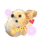 ろみおろみおろみろみ（個別スタンプ：25）