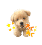 ろみおろみおろみろみ（個別スタンプ：26）