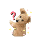 ろみおろみおろみろみ（個別スタンプ：28）
