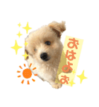ろみおろみおろみろみ（個別スタンプ：32）