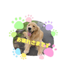 Aokiあおき（個別スタンプ：1）