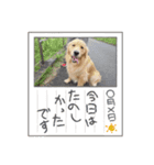 Aokiあおき（個別スタンプ：7）
