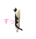 サクラちゃん①（個別スタンプ：2）