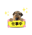 ウェルシュテリア♡ジェリーさんの1日(20)（個別スタンプ：4）