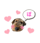 ウェルシュテリア♡ジェリーさんの1日(20)（個別スタンプ：5）