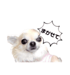 キキとララスタンプず（個別スタンプ：12）