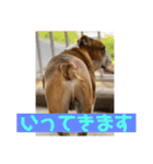 大好き金太郎4（個別スタンプ：1）
