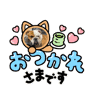 大好き金太郎4（個別スタンプ：3）