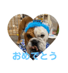 大好き金太郎4（個別スタンプ：5）