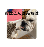 大好き金太郎4（個別スタンプ：8）