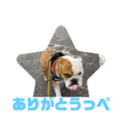 大好き金太郎4（個別スタンプ：18）