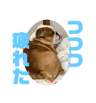 大好き金太郎4（個別スタンプ：22）