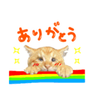 豆粒すたんぷ（個別スタンプ：2）