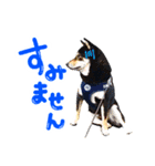 豆粒すたんぷ（個別スタンプ：3）