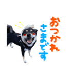 豆粒すたんぷ（個別スタンプ：5）