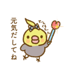 水玉りぼんのオカメインコ（個別スタンプ：4）