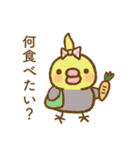 水玉りぼんのオカメインコ（個別スタンプ：17）