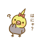 水玉りぼんのオカメインコ（個別スタンプ：19）