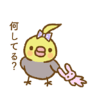 水玉りぼんのオカメインコ（個別スタンプ：26）