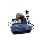 フェレットの気持ち(たぶん)（個別スタンプ：20）