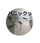 カナヘビといっしょ（個別スタンプ：9）