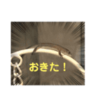 カナヘビといっしょ（個別スタンプ：10）