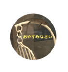 カナヘビといっしょ（個別スタンプ：11）