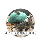 カナヘビといっしょ（個別スタンプ：17）