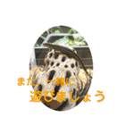 カナヘビといっしょ（個別スタンプ：23）