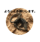 カナヘビといっしょ（個別スタンプ：24）