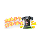 ミニピン 省スペース スタンプ2（個別スタンプ：1）