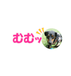 ミニピン 省スペース スタンプ2（個別スタンプ：10）