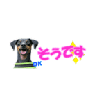 ミニピン 省スペース スタンプ2（個別スタンプ：14）